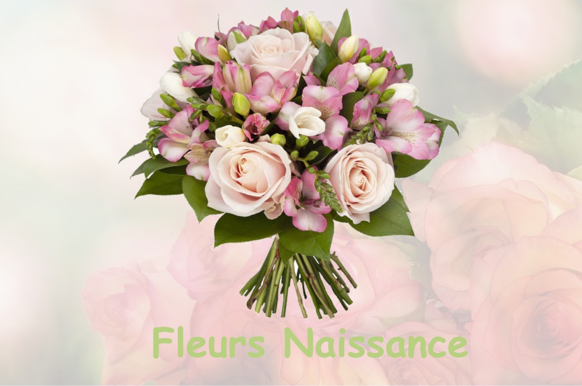 fleurs naissance SAINTE-MARGUERITE-DE-L-AUTEL